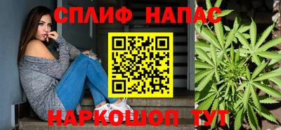 гашик Жуковский