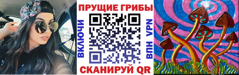 Псилоцибиновые грибы GOLDEN TEACHER Канаш
