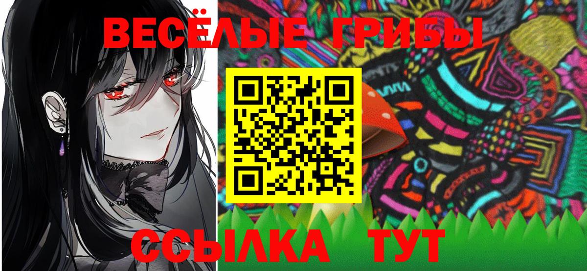 Псилоцибиновые грибы ЛСД  Канаш  Псилоцибиновые грибы GOLDEN TEACHER 