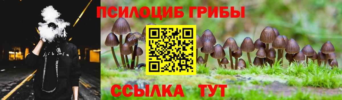 Галлюциногенные грибы Psilocybine cubensis Канаш