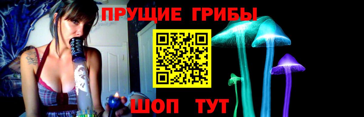Псилоцибиновые грибы Magic Shrooms  Галлюциногенные грибы Cubensis  Канаш  Вход с VPN 